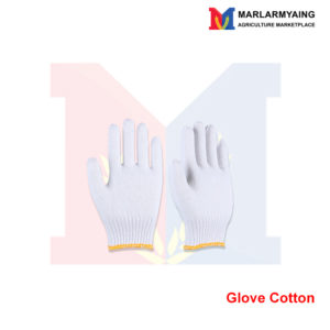 Glove-Cotton