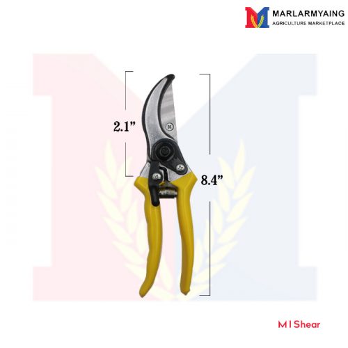 M1 Shear