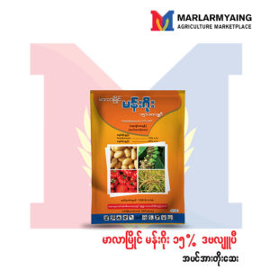 MLM-Mango-15-WP