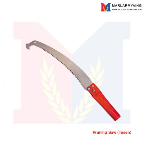 Pruning Saw (Tesen)