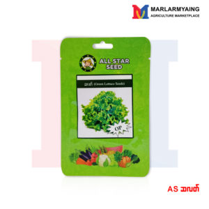 All Star Seed-Green-Lettuce