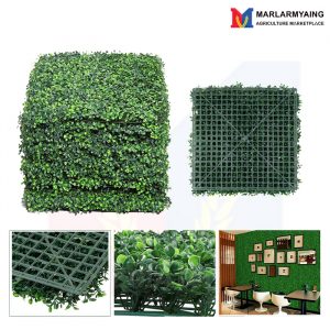 Aritificial-Hedge-Wall