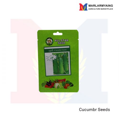 Cucumber Seed