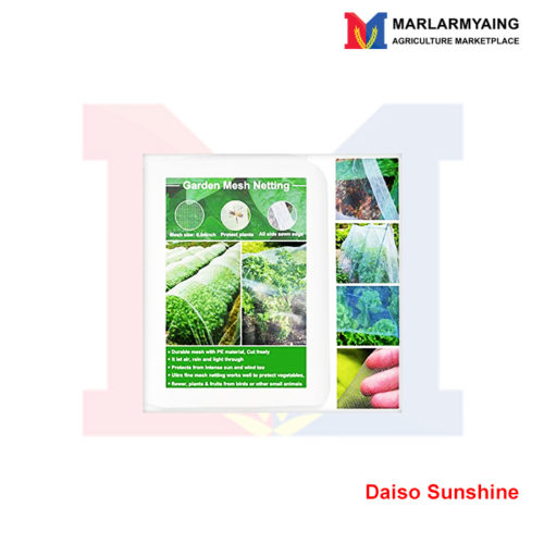 Daiso-Sunshine