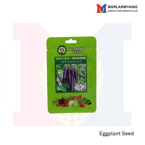 Eggplant Seed