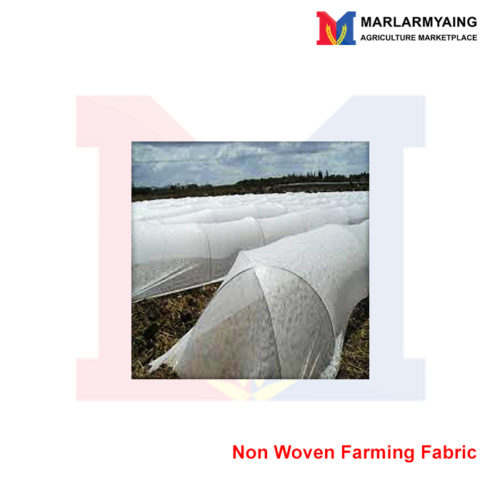 Non-Woven