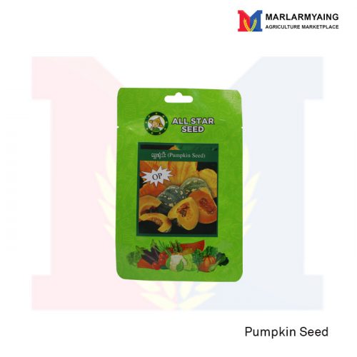 Pumpkin Seed