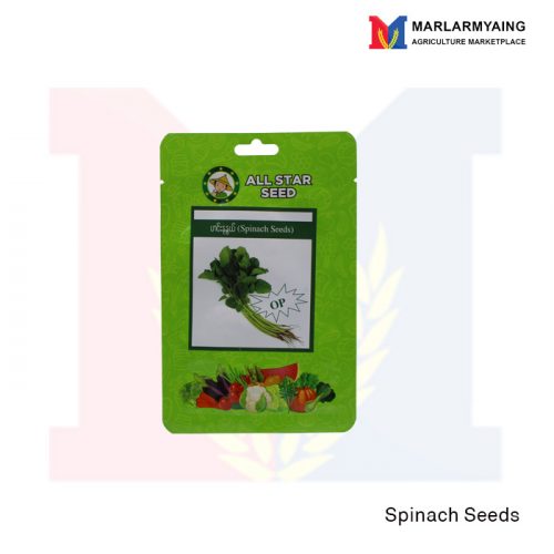 Spinach Seed