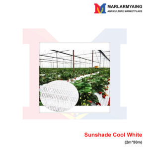 Sunshade-Cool-White