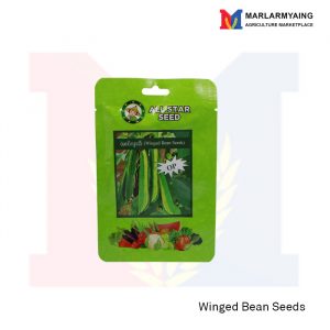 Winged Bean Seed