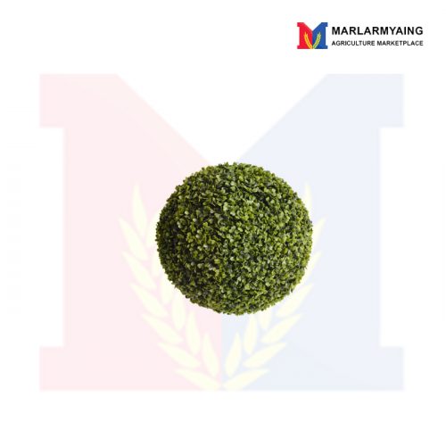 boxwood-ball-48cm