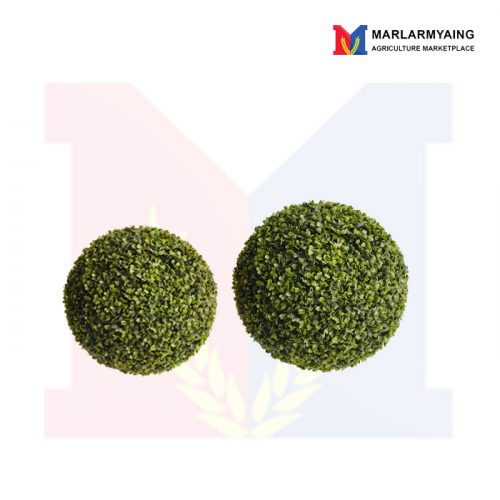 boxwood-ball