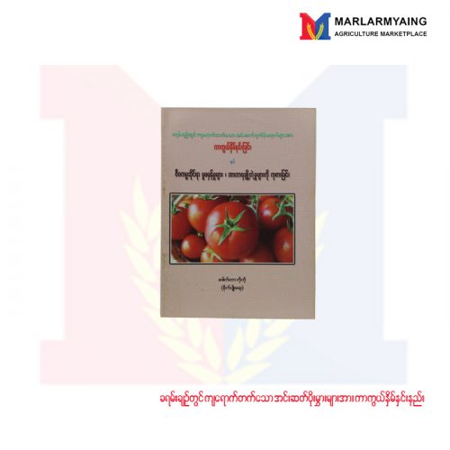 ခရမ်းချဉ်တွင်ကျရောက်တက်သော-အင်းဆတ်ပိုးမွားများအား-ကာကွယ်နှိမ်နင်းနည်း