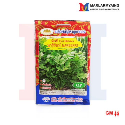 GM-coriander