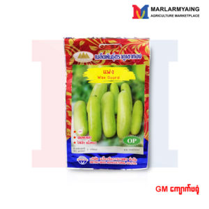 GM Wax Gourd