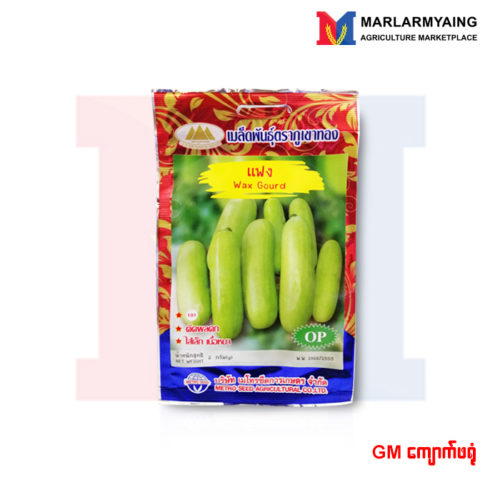 GM Wax Gourd