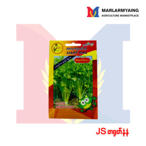 JS-Chinese-Coriander