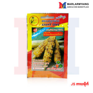 JS-mix-waxy-corn