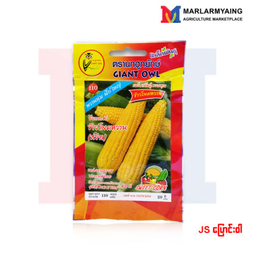 JS Sweet Corn