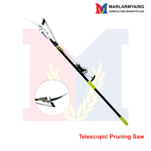 Telescopic-Pruning-Saw