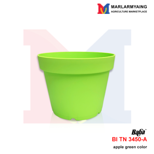 BaBa-BI-TN-3450-A-APPLE-GREEN