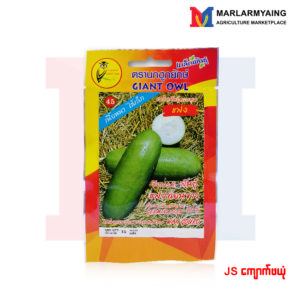 JS Wax Gourd