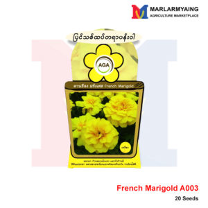 AGA-A003-French-Marigold-AGA
