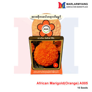 AGA-A005-African-Marigold-Orange