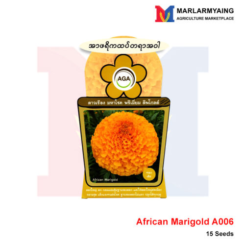 AGA-A006-African-Marigold