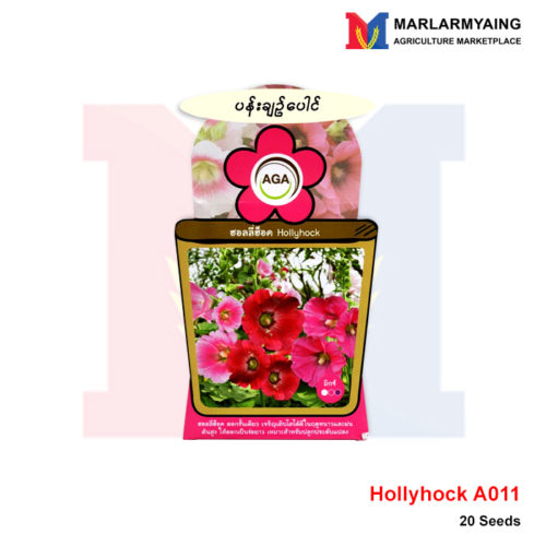 AGA-A011-Hollyhock