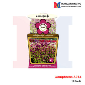 AGA-A013-Gomphrena