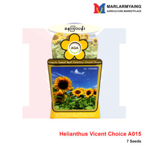 AGA-A015-Helianthus-Vicent
