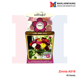 AGA-A016-Zinnia