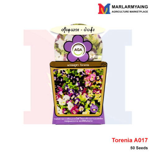 AGA-A017-Torenia