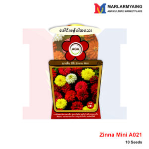 AGA-A021-Zinna-mini