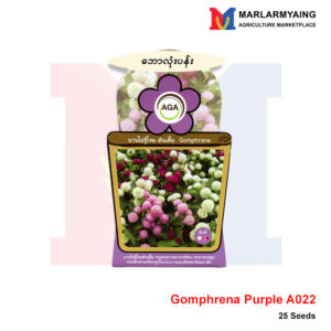 AGA-A022-Gomphrena-Purple