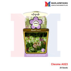 AGA-A023-Cleome