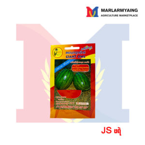 JS-watermelon