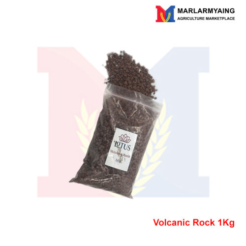 Lotus-Volcanic-Rock