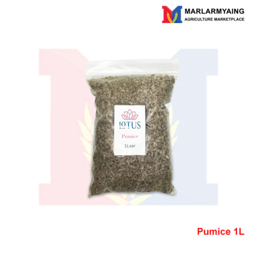 Pumice-1L