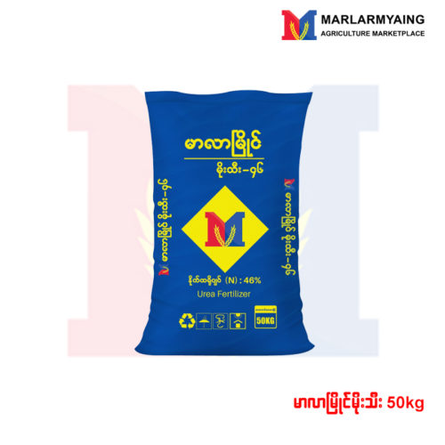 MLM-moethee-50Kg