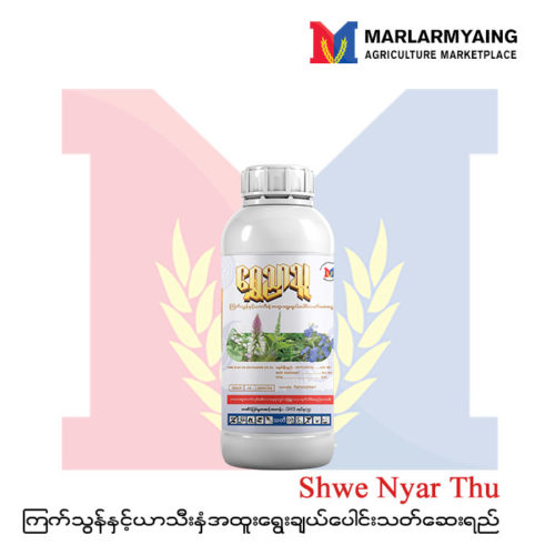 Shwe-Nyar-Thu