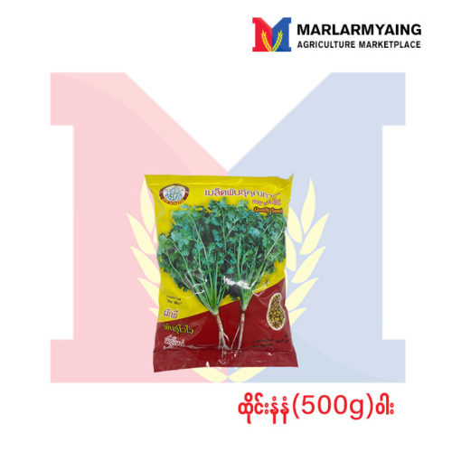 Bamboo Thai Coriander 500g