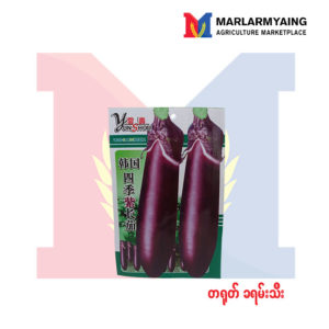 China Eggplant