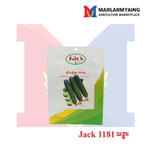 Jack Cucumber Sienna 1181