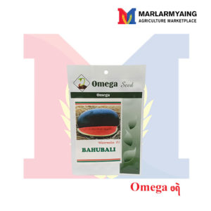 Omega Watermelon